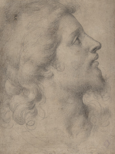 Bronzino Drawings